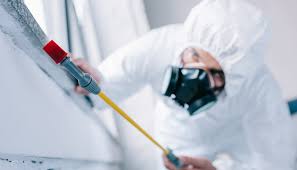 Best Real Estate Pest Inspections  in Spencerville, OH